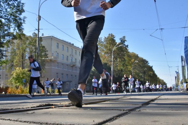 Ссылка кракен через тор